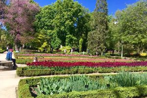real jardín botánico madrid - jardines en madrid - parques en madrid